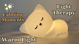 Light Therapy ~ LIFTS YOUR MOOD ~ Warm Light ~ Sleepy Cat ~ EnjoyHappyThings // Mind Wellness TV