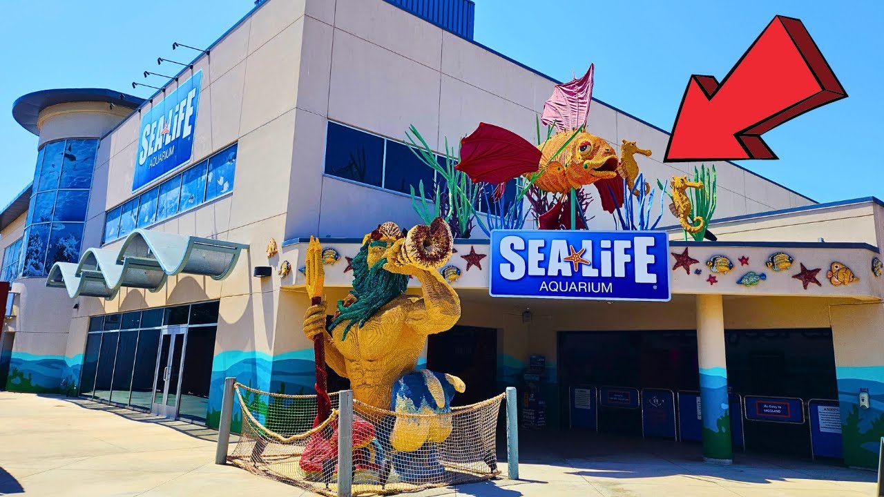 SEA LIFE Aquarium Carlsbad California Full Tour 2024 YouTube