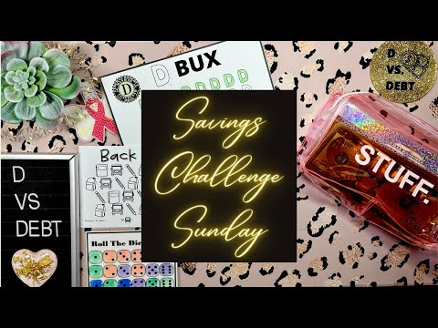 Savings Challenge Sunday: added 2 more challenges and a cute bank bag ?