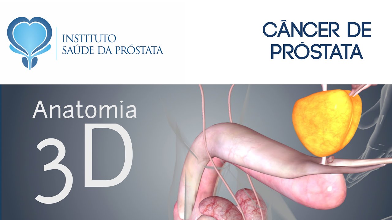 2 Qual a função da próstata? Entenda de forma fácil porque o câncer de próstata é um risco 2 Qual a função da próstata? Entenda de forma fácil porque o câncer de próstata é um risco