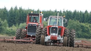 Massey Ferguson 595 & 1505 | Cultivating The Field | American Ferguson Days - Tjele Gods