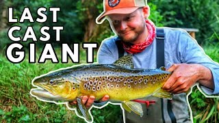 Fly Fishing The Chalkstream River Itchen In England For Brown Trout With Fishing Breaks Day 2!
