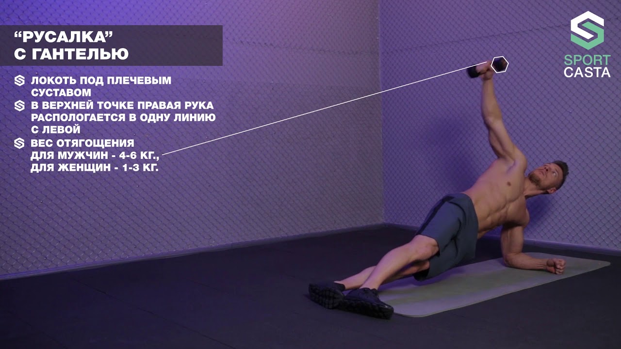 Equipoise �������: ����.