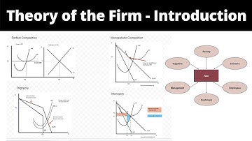 Theory of the Firm   Introduction