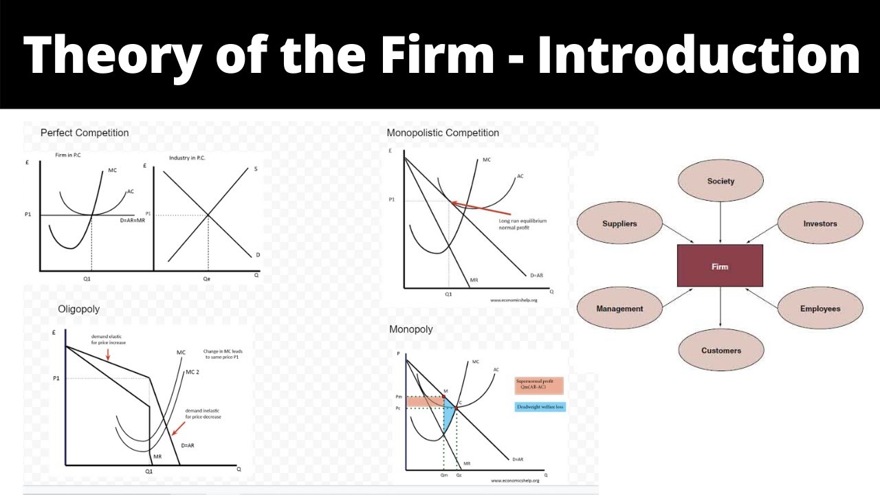 literature review theory of the firm