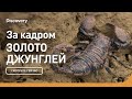 За кадром | Золото джунглей | Discovery