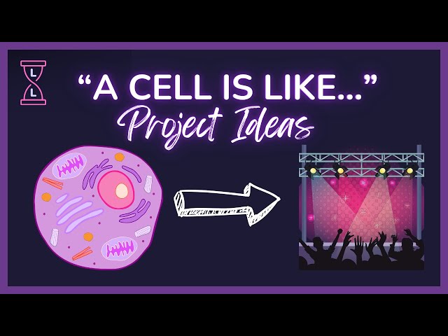 Essential Guide to Outstanding Cell Ideas Projects 3 sddefault