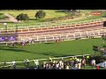 ANZAC Day Race Day | Race 6 | VRC St Leger | Silvasista