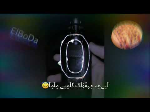 حمو بيكا حسن شاكوش فيجو الدخلاوي انا عيني علي التاتو آش ترگو آ ف يﮯ آل ق نآه ہ