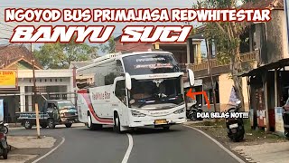 Ngoyod Bus Primajasa Banyu Suci | Trend 12 Not‼️