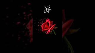 Hasen nazara #haseen #ytshorts #viralvideo #viral #unfrezzmyaccount #shorts