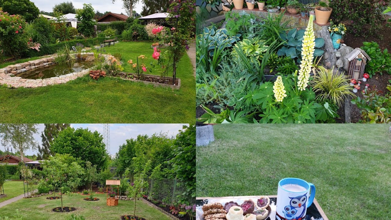 جولة في حديقتي وطريقة عنايتي بالزرايع والمادة السحرية الموجودة بكل بيت لتقوية الزريعة