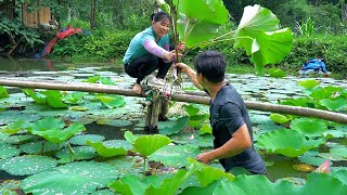 DAU & TU'S STORY: Building a beautiful lotus garden on the farm - Forest life skills DT