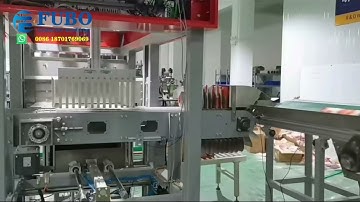 Automatic counting pouch and carton board box filling machine