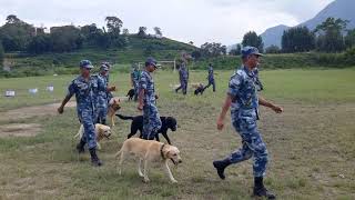 APF Dog Demostration 2072 Balambu Kathmandu.