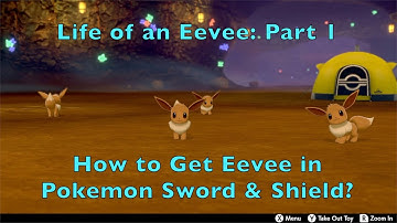 3 ways on how to get Eevee in Pokemon Sword and Shield! (English Sub)