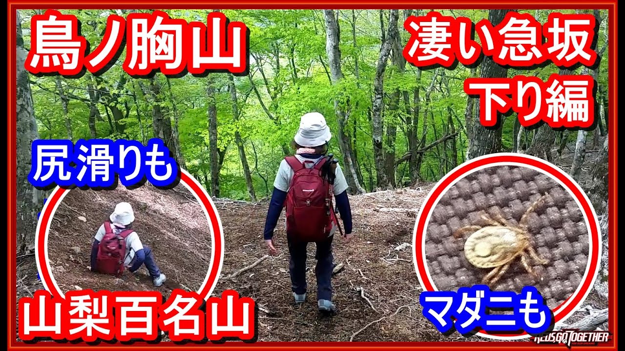 ペイ国の山 ペイ国の山 Makinoto Pass｜Attractions｜Visit Oita - The Official