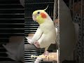 はい、かわいい〜