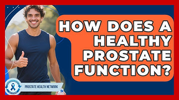How Does A Healthy Prostate Function? - Prostate Health Network