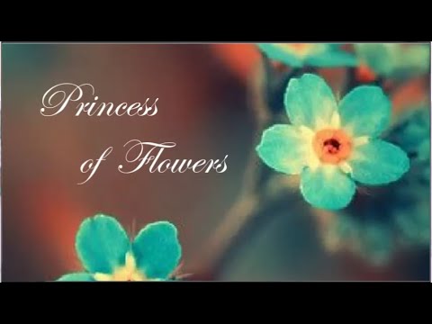 Princess of Flowers ~ Nikos Ignatiadis (RIP) ڪے 🌸🍃
