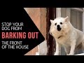 How To Stop Your Dog Barking Out The Front Of Your House How To Stop Your Dog Barking Out The Front Of Your House