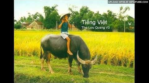 Tiếng Việt - Lưu Quang Vũ