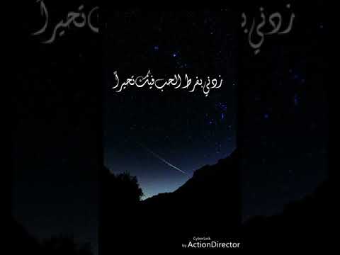 زدني بفرط الحب فيك تحيرا ياسين التهامي محب النبي