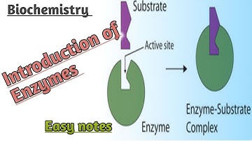 Introduction of Enzymes I Urdu lecture I Lecture with Madam Sara Ejaz