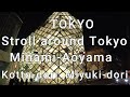 TOKYO Stroll around Tokyo Minami-Aoyama Kotto-dori ,Miyuki-dori