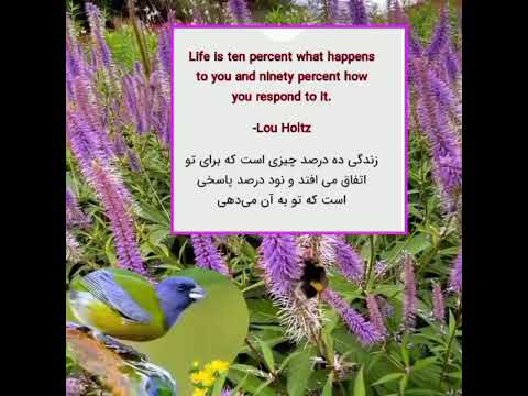 هدیه ای برای آرامش    