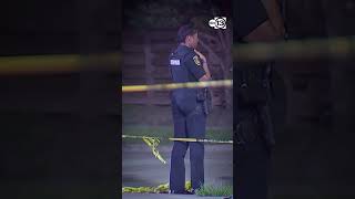 Gunman arrested after man pressure washing near restaurant killed: HPD