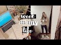 college week in my life! | working out (a lot), planning my life, grocery haul, classes, & more!