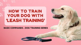 Walking in Harmony: Teach Your Dog Leash Training! | Basic Commands #4 - Dog Training Series