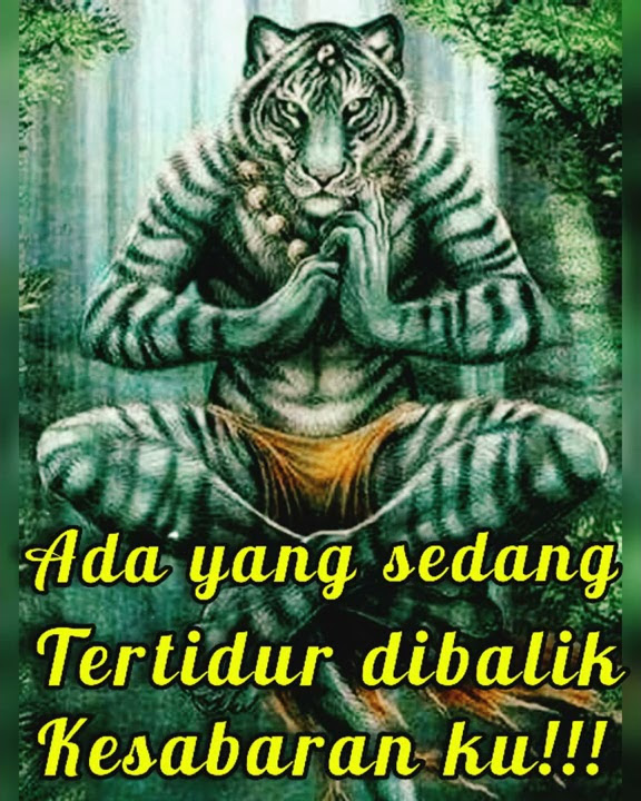 story wa macan putih siliwangi #shorts