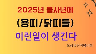 2025년 을사년 용띠/닭띠들 참고할  사항들. 오상유진석명리학강의