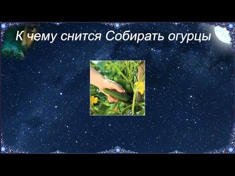 К чему снится Собирать огурцы (Сонник)