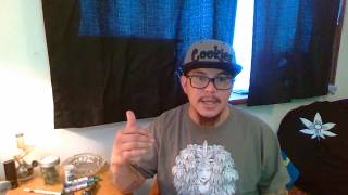 My ORGANTICA experience