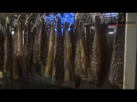 The Biltong Deli Kleinmond Photos