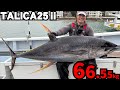 【相模湾モンスター】66.5kgのキハダ手巻きファイト備忘録（2025/10/6・五エム丸）