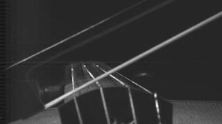 Slow motion: D'Alembert solution of a bowed violin string Profile