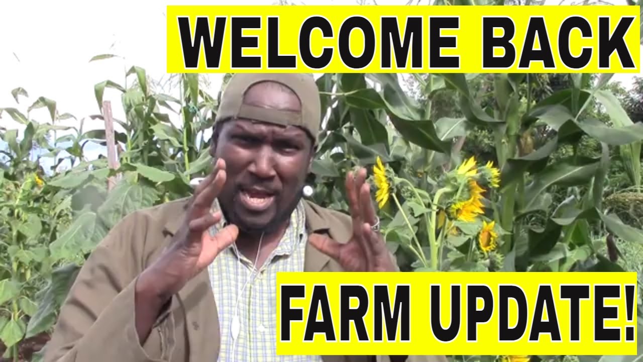 WELCOME BACK...FARM UPDATE!!
