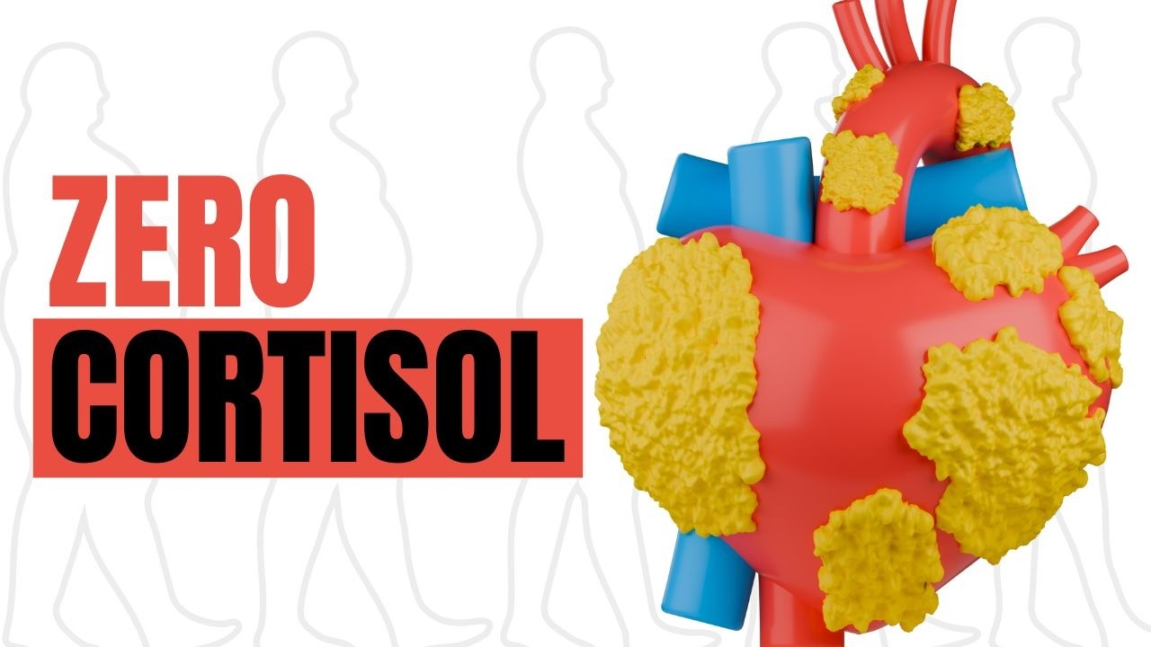 How To Force Your Body To Melt Visceral Fat With Zero Cortisol