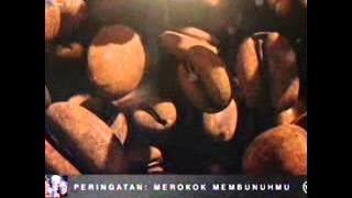 Download lagu RCTI Djarum Black Capuccino 22 14