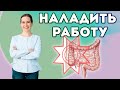 Как МИКРОФЛОРА кишечника влияет на ИММУНИТЕТ? Как наладить работу кишечника?