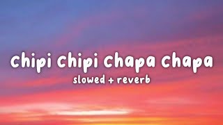 Chipi Chipi Chapa Chapa.. (Lyrics Video) Resimi