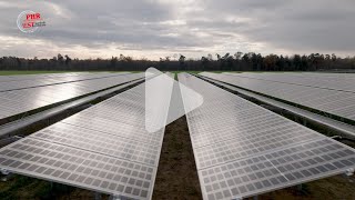 Agrivoltaïsme : Des framboises à l'ombre du solaire