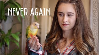 The truth about Green Cheek Conures