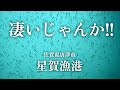 【星賀漁港・佐賀県唐津市・海中映像】驚愕！大量の◯◯は見たことが無い！唐津市屈指の有名漁港に潜入調査！秋の唐津釣りは最高！#240 福岡釣部 in 福岡・糸島・北九州・玄界灘・広島・岡山・瀬戸内海