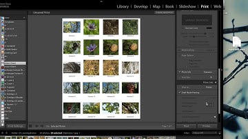 Making a Contact Sheet in Lightroom