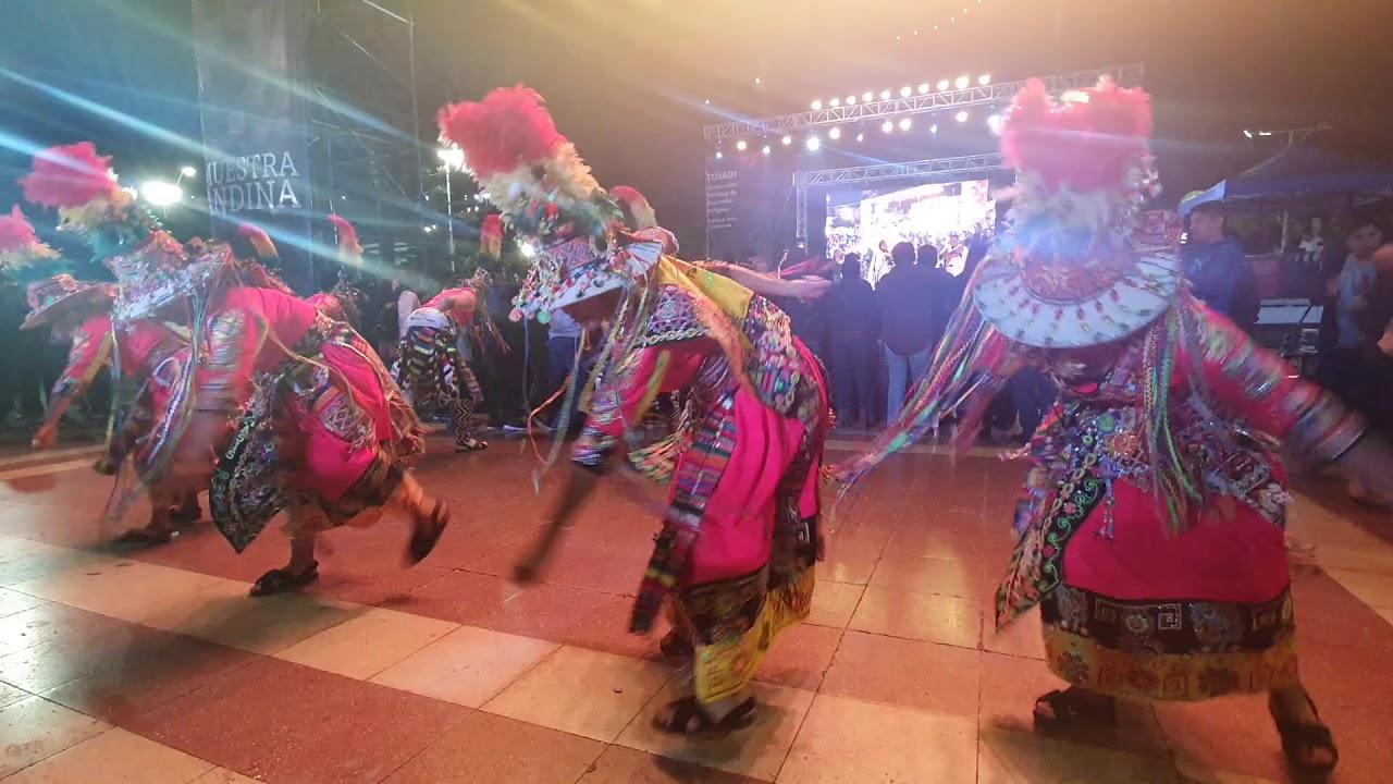 Wistu vida - tinkus - grupo Semilla